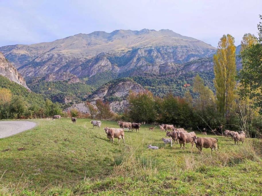 El Refugio De Tena - Tucasaenlospirineos إسكارييا المظهر الخارجي الصورة