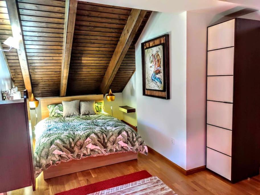 El Refugio De Tena - Tucasaenlospirineos إسكارييا المظهر الخارجي الصورة